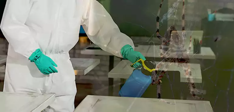 Why Buyers Still Want Homes With Pest Infestations in Ontario, CA?