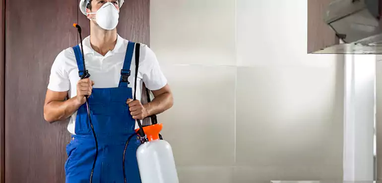 Why Ontario Homeowners Choose Us When Pests Make Selling Difficult