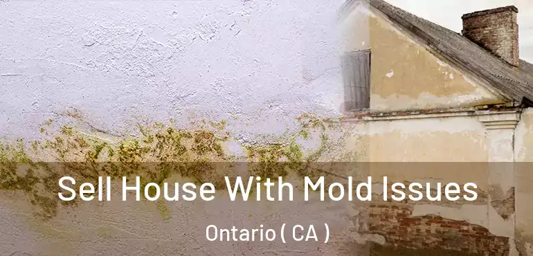  Sell House With Mold Issues Ontario ( CA )